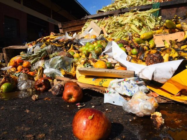 Desperdicio de alimentos 3