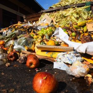 Desperdicio de alimentos 3