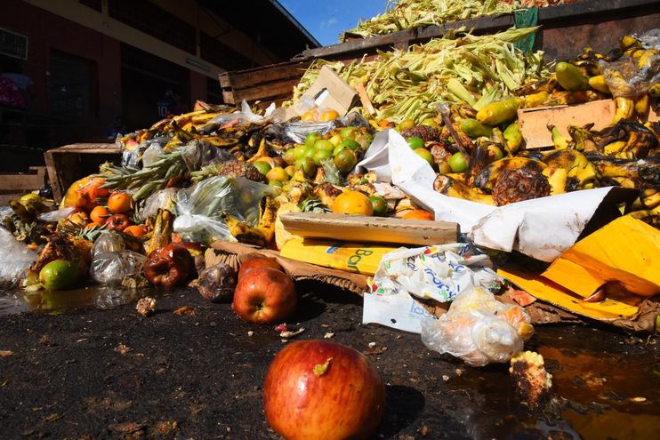 ¿Por qué desperdiciamos tanta comida?