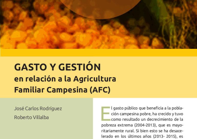 Gastos-AFC-Nota-de-Política-768x1087