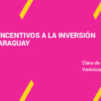 INCENTIVOS A LA INVERSIÓN 19mayo-1