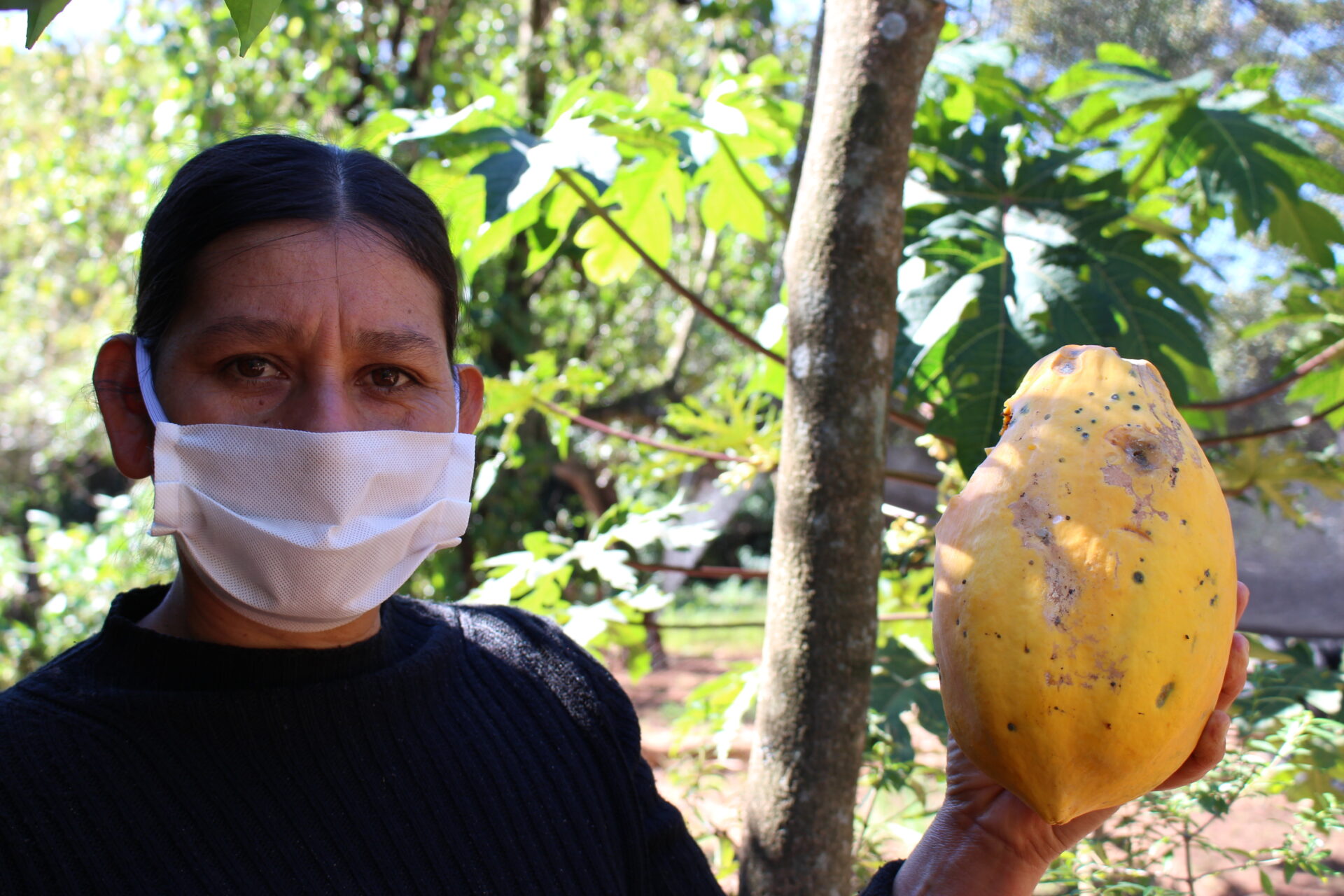 El Teko campesino