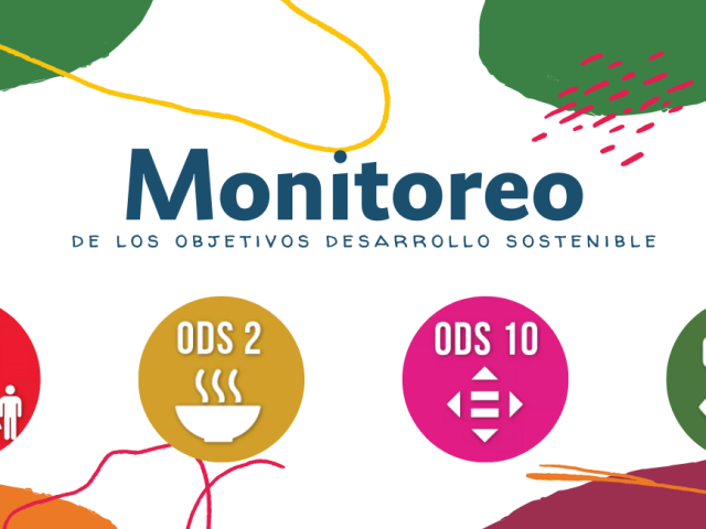 Monitoreo