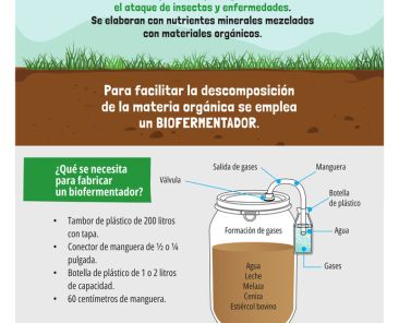 volante 1 Biofertilizantes