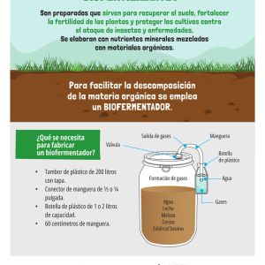 volante 1 Biofertilizantes