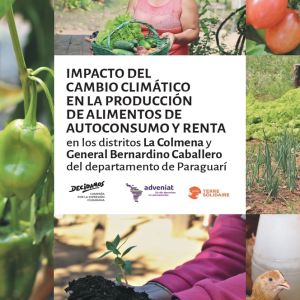 Informe impacto del cambio climatico 13nov_FINAL-1_page-0001(1)