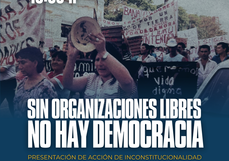 Flyer-presentacion-de-accion-de-inconstitucionalidad--768x960