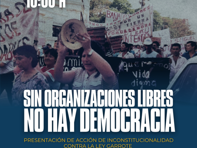 Flyer-presentacion-de-accion-de-inconstitucionalidad--768x960