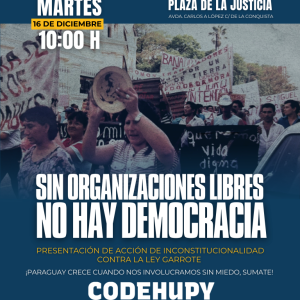 Flyer-presentacion-de-accion-de-inconstitucionalidad--768x960