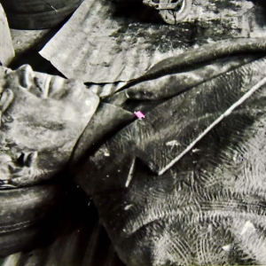 grupovierci.brightspotcdn