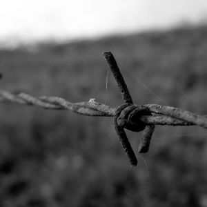 lucha-por-la-tierra-ea