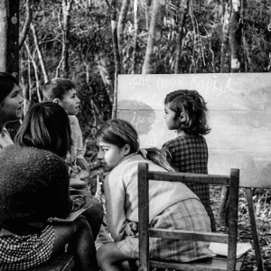 grupovierci.brightspotcdn